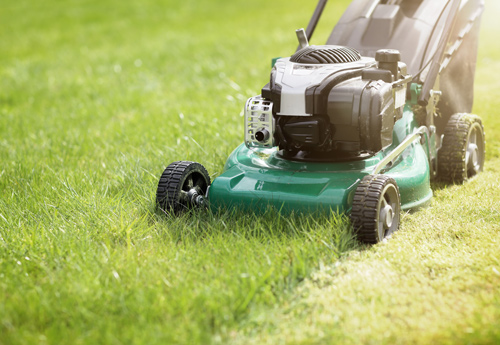 lawn mower on green grass cutting grass neatly for landscaping