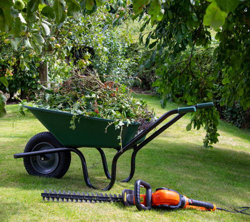 wheelbarrow filled with garden waste on grass next to electric hedge trimmer in a green garden with trees perfect for outdoor maintenance and landscaping