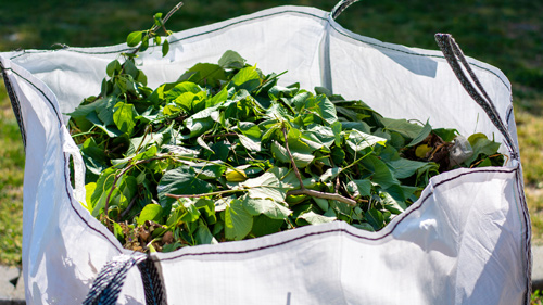 a large white bag filled with freshly collected green leaves and garden waste useful for landscaping and gardening solutions