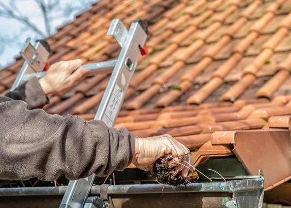 person cleaning gutter while standing on ladder with clay tiles in background showing the importance of roof maintenance and two hands removing debris