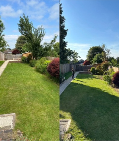 lush green garden with well maintained pathways featuring vibrant trees and bushes under a clear blue sky showcasing outdoor space for relaxation and enjoyment