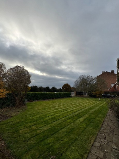expansive lawn with neatly striped grass under overcast sky near residential home ideal for outdoor activities and landscaping designs
