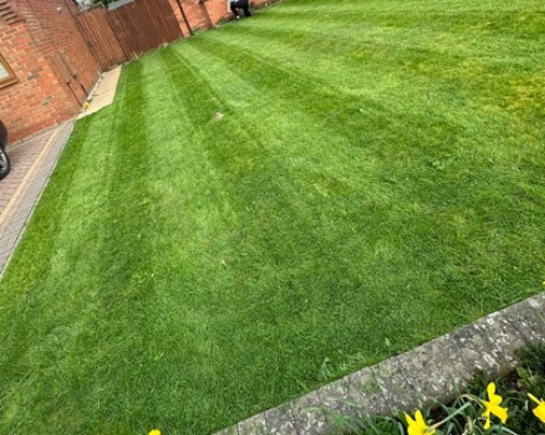 man mowing striped green lawn with flowers in the foreground