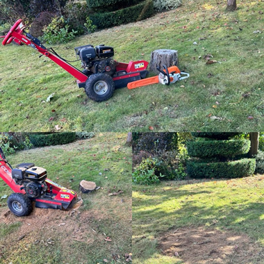 landscaping equipment with a stump grinder for tree removal and lawn care